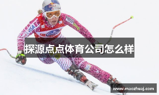 探源点点体育公司怎么样